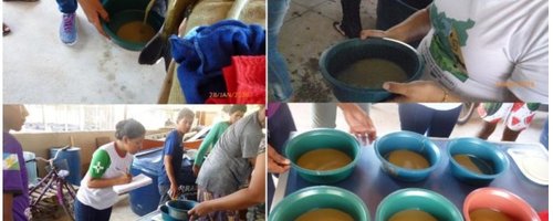1 - Projeto da produção de alevinos de tambaqui - Extrusão da fêmea, bacias de fertilização e estudante realizando os movimentos para fertilização dos ovos - Ft Divulgacao