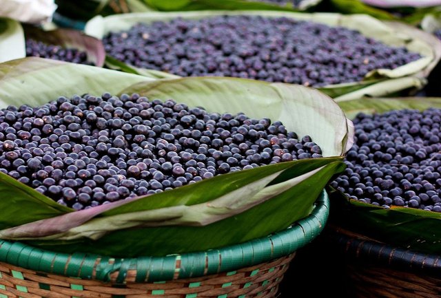Açaí_divulgação internet