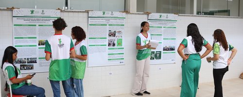 Alguns projetos apresentados no Forint de 2024 - Foto: Nenzinho Soares