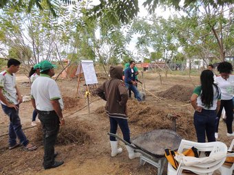 Atividades - Fts IFRR