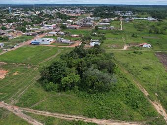 Campus Rorainópolis  (4)