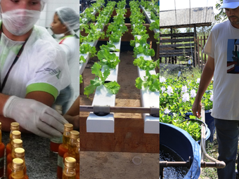 Pesquisas tecnológicas, projetos desenvolvidos, produtos e serviços nas áreas de agricultura, agroindústria, aquicultura e agroecologia estarão sendo apresentados pelas equipes do IFRR