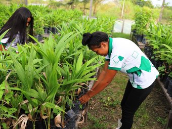 Podem participar estudantes indígenas e quilombolas regularmente matriculados em cursos presenciais de graduação em um dos cinco campi do IFRR  - Fts Ascom IFRR (2)