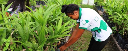 Estudantes do IFRR em atividade prática (ambiente externo)