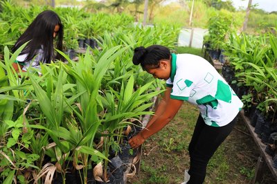 Estudantes do IFRR em atividade prática (ambiente externo)