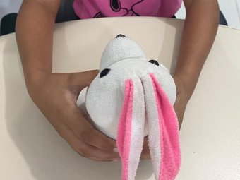 A iniciativa tem como foco a capacitação de conselheiros tutelares, servidores públicos e demais atores da rede de proteção, contribuindo para a qualificação das ações desenvolvidas nos municípios. - Nenzinho Soares - IFRR (10)