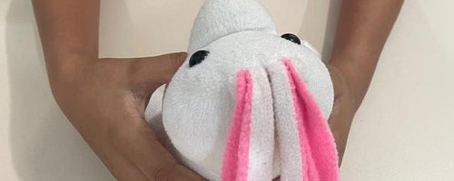 A iniciativa tem como foco a capacitação de conselheiros tutelares, servidores públicos e demais atores da rede de proteção, contribuindo para a qualificação das ações desenvolvidas nos municípios. - Nenzinho Soares - IFRR (10)