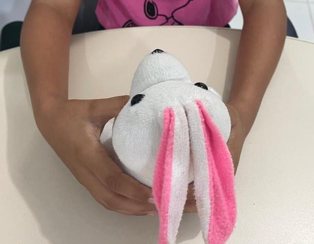 A iniciativa tem como foco a capacitação de conselheiros tutelares, servidores públicos e demais atores da rede de proteção, contribuindo para a qualificação das ações desenvolvidas nos municípios. - Nenzinho Soares - IFRR (10)