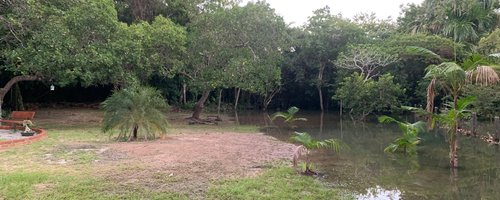 Igarapé Urubuzinho - Ft Divulgação (1)