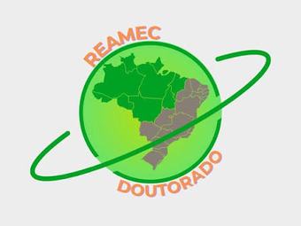 O curso é oferecido pelo Programa de Pós-Graduação em Educação em Ciências e Matemática (PPGECEM), da Rede Amazônica de Educação em Ciências e Matemática (Reamec)