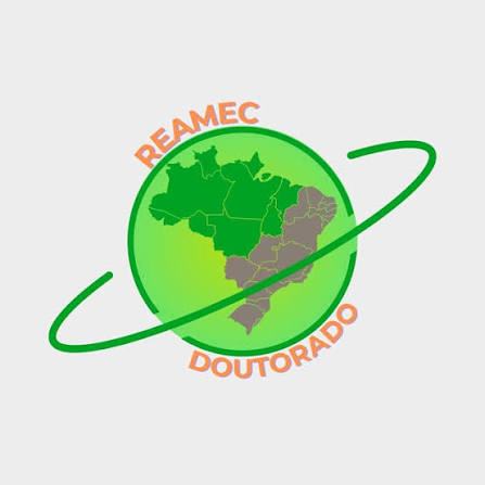 O curso é oferecido pelo Programa de Pós-Graduação em Educação em Ciências e Matemática (PPGECEM), da Rede Amazônica de Educação em Ciências e Matemática (Reamec)