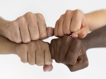 O plano assume compromisso especial com a proteção de grupos historicamente vulnerabilizados, como mulheres, pessoas negras, indígenas, pessoas com deficiência, pessoas idosas e pessoas LGBTQIAPN+- Imagens da Internet  (1)