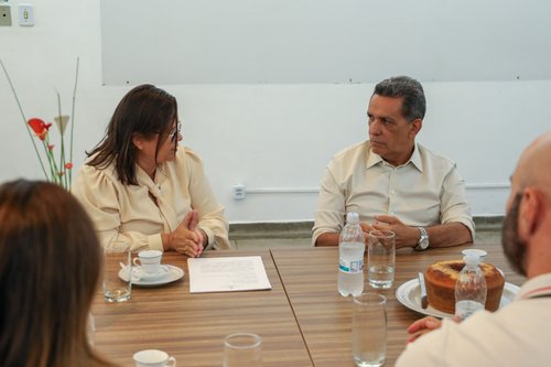 A reunião foi coordenada pela diretora-geral do CBV, Luciana Leandro