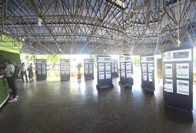Mostra Conexão Egresso - Divulgação (2)