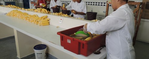 Prática no CNP - Fts IFRR