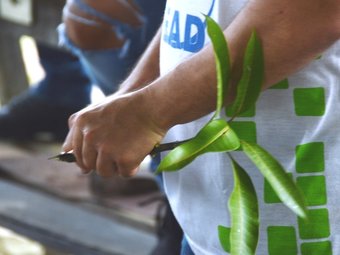 Práticas de EAD - CAM - Fts IFRR (7)