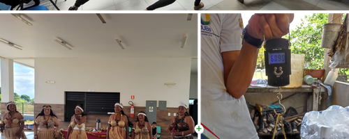 Projetos desenvolvidos por servidores do IFRR - Fts Divulgação