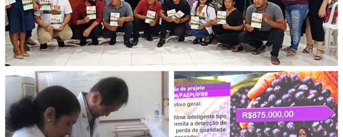 Projetos do IFRR integram obra nacional