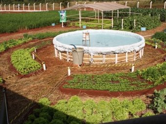 O Sisteminha é uma solução tecnológica, de baixo custo, voltada para a segurança alimentar. Foto Flavia Bessa/Embrapa