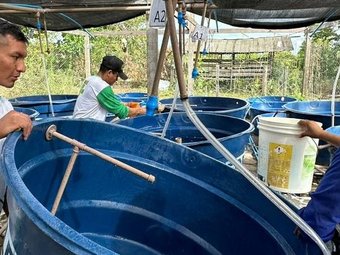 Os grupos de pesquisa interessados têm até o dia 23 de agosto para submeter as propostas