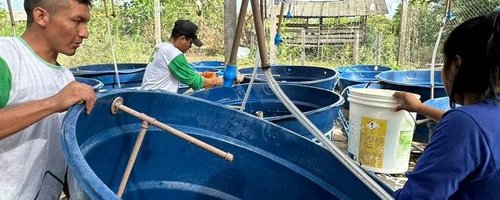 Os grupos de pesquisa interessados têm até o dia 23 de agosto para submeter as propostas