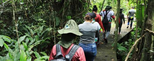 Visita ilha do Viruá - Fts arquivo Ascom (10)