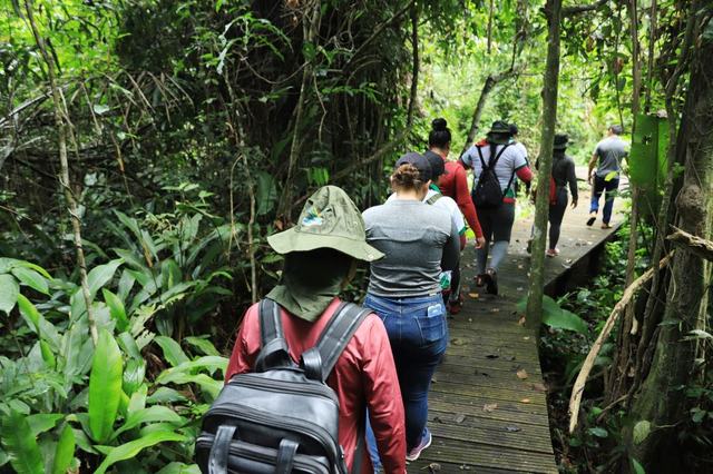 Visita ilha do Viruá - Fts arquivo Ascom (10)