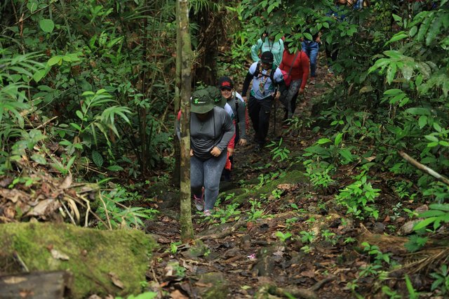 Visita técnica ao Viruá_Ascom_IFRR_2 (1)