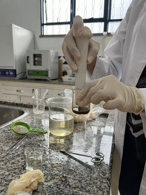 Projeto de 2023 “Avaliação da implementação do tratamento parcial seletivo no controle de verminose em ovinos”, coordenado pela professora Aparecida da Costa Oliveira