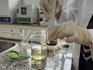 Projeto de 2023 “Avaliação da implementação do tratamento parcial seletivo no controle de verminose em ovinos”, coordenado pela professora Aparecida da Costa Oliveira