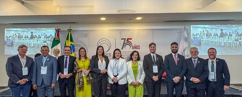 Conif _ Visita ao México