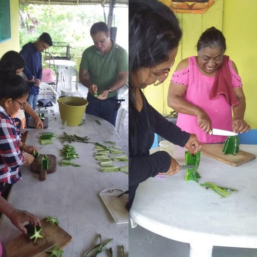 Atividades pesquisa sobre o coagulante natural já atendeu uma comunidade ribeirinha