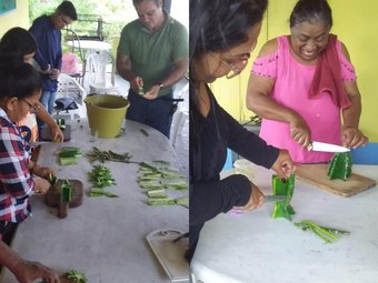 atividades pesquisa profa Jordana - coagulante