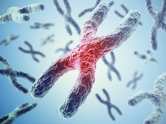 A oficina contribuirá com o ensino e aprendizagem dessa importante temática da biologia molecular.