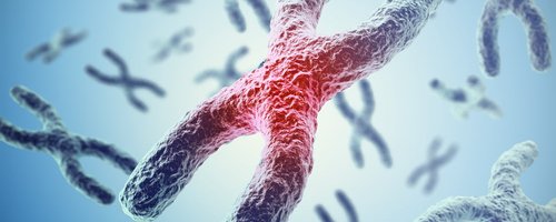 A oficina contribuirá com o ensino e aprendizagem dessa importante temática da biologia molecular.