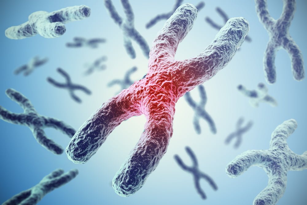 A oficina contribuirá com o ensino e aprendizagem dessa importante temática da biologia molecular.