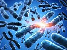 A oficina contribuirá com o ensino e aprendizagem dessa importante temática da biologia molecular.
