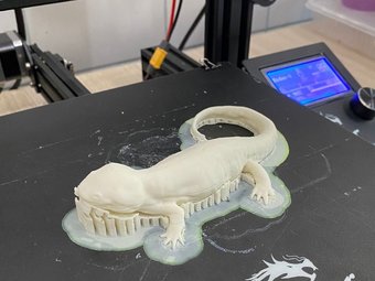 As impressões foram feitas no Laboratório de Robótica, localizado no Campus Boa Vista