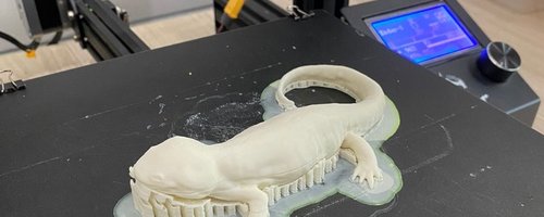 As impressões foram feitas no Laboratório de Robótica, localizado no Campus Boa Vista