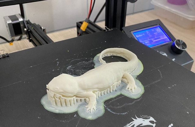 As impressões foram feitas no Laboratório de Robótica, localizado no Campus Boa Vista