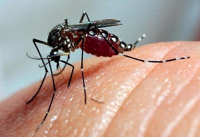 A ação faz parte do projeto “Aedes Aegypti: sensibilização para prevenção e controle"