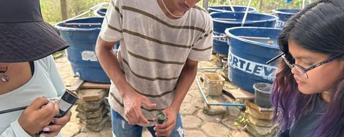 projetos_de_pesquisa_e_inovacao_do_IFRR_-_Divulgacao