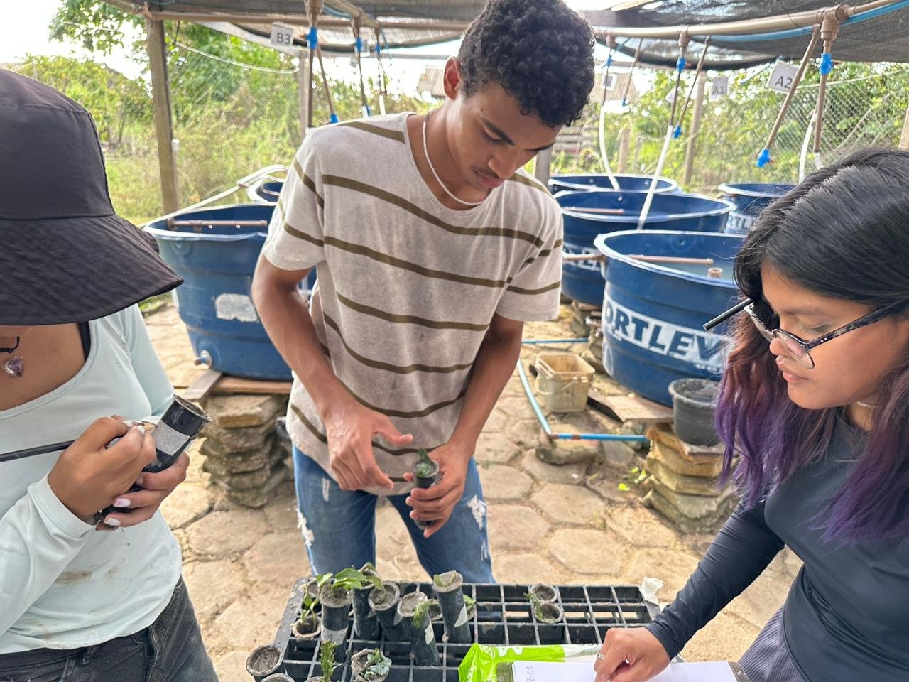 projetos de pesquisa e inovacao do IFRR - Divulgação  (2)